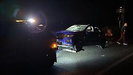 Scontro nella notte, due asini travolti e uccisi da un’auto