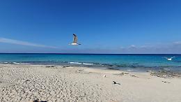 Aveva vissuto a Crema la donna trovata morta a Formentera, escluso l'evento violento