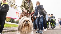 Si chiude il Petsfestival: appuntamento al 2026 nel paradiso degli animali da compagnia