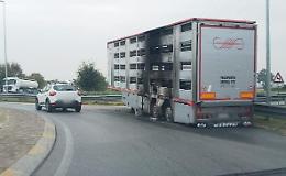 Rimorchio a fuoco lungo la bretella, paura ma nessun ferito