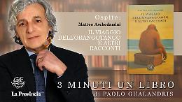 Castori in orbita e tante altre storie