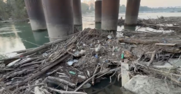 Allarme tronchi: ecco perché l’Anai non interviene più