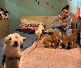 «Vivo nell’umido e senza riscaldamento»