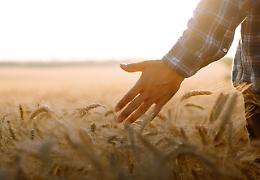 Così il Giubileo incontra gli agricoltori