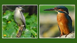 Oasi Le Bine: ecco come è cambiata