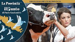 Zootecniche a Cremona: un circolo virtuoso