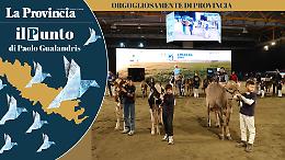 La Fiera  moltiplica il fatturato di Cremona