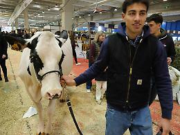 Anche la terza giornata delle Fiere zootecniche conquista il pubblico