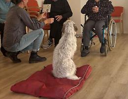 Anziani e animali, il legame &egrave; terapeutico