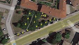 Con il censimento mille piante sotto tutela