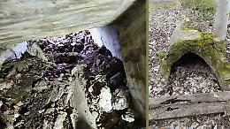 Un rifugio antiaereo sotto gli ex Stalloni