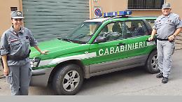 Forestali:  in provincia 30 controlli e 3 illeciti gravi