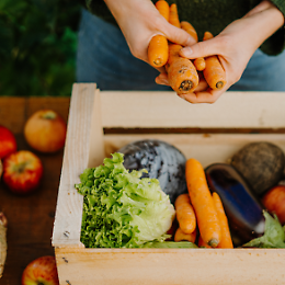 Il Mercatino del Bio in centro