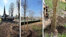 Verde, via al restyling al Parco Rimembranze