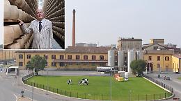 Banca Sella sostiene Latteria Soresina con un finanziamento di 5 milioni