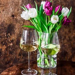 Tulipani & Tulivini:  natura, gusto e inclusione