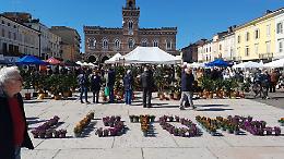 &laquo;Listone in Fiore&raquo;: la manifestazione &egrave; partita benissimo