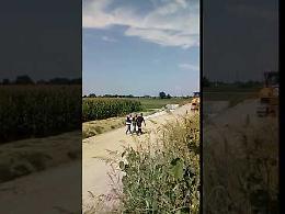 VIDEO - La cattura di uno dei rapinatori