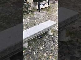 Notte brava in piazza Sant'Agostino, la rabbia dei residenti