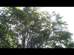 L'incendio al ripetitore di telefonia mobile del Cambonino