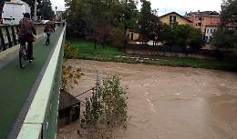 Adda e Serio gonfi di pioggia
Allerta di Comuni e protezione civile