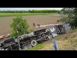 Camion carico di maiali si ribalta: il video dei soccorsi