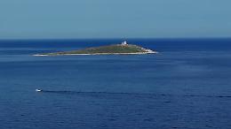 “NauticinBlu”, riparte il progetto di conservazione marina di Marevivo