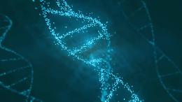 Cardiomiopatie, identificato gene finora sconosciuto