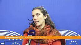 Ue, Corrado (Pd) "Sul regolamento deforestazione il Ppe spacca gli accordi"