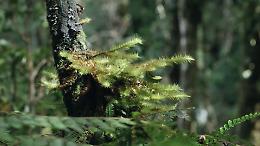 Il cambiamento climatico minaccia la biodiversit&agrave;