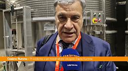 Rummo "Nelle ultime settimane non ci sono stati aumenti del prezzo della pasta"