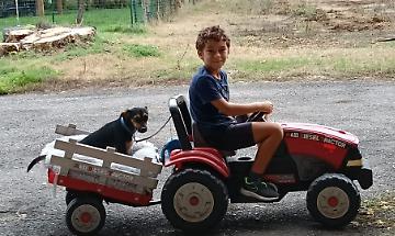 La fotogallery: i vostri amici a quattro zampe protagonisti dell’estate 2025