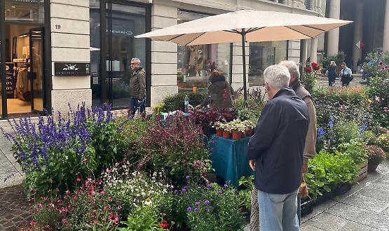 Invasioni Botaniche: anche sotto la pioggia il giardino meraviglia