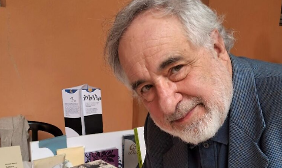 L'ombra dello scriba. Tra psichiatria e letteratura