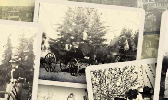 Incontro: Ritratti di donne cremonesi dell&rsquo;800