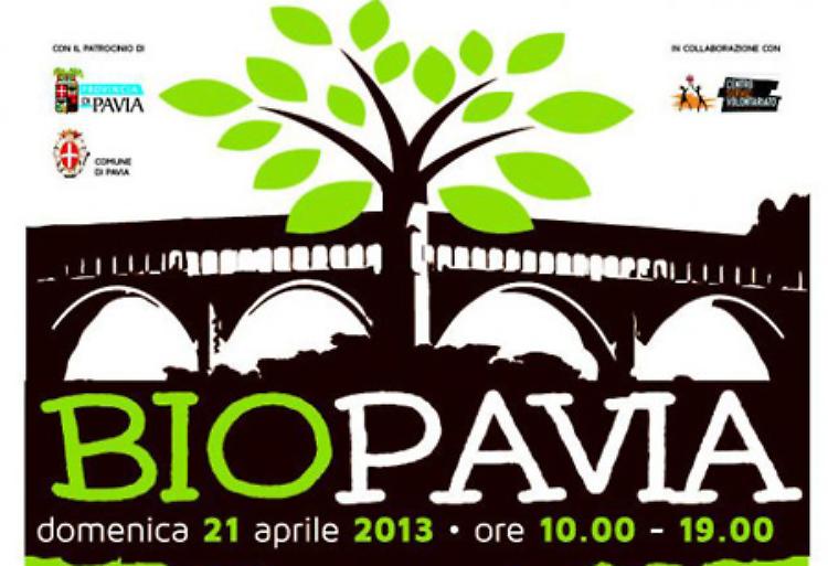 BioPavia