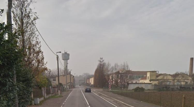 Api scatenate attaccano due bimbi e la loro mamma