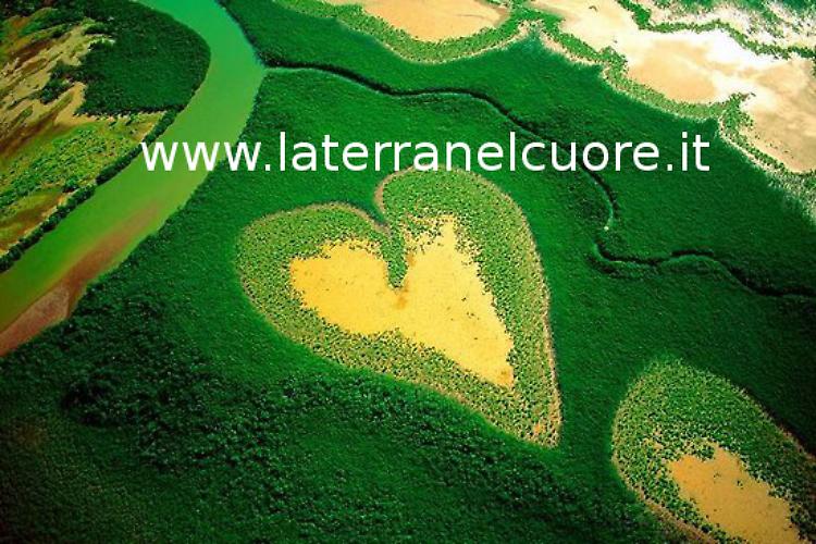 Celebrata la giornata della terra