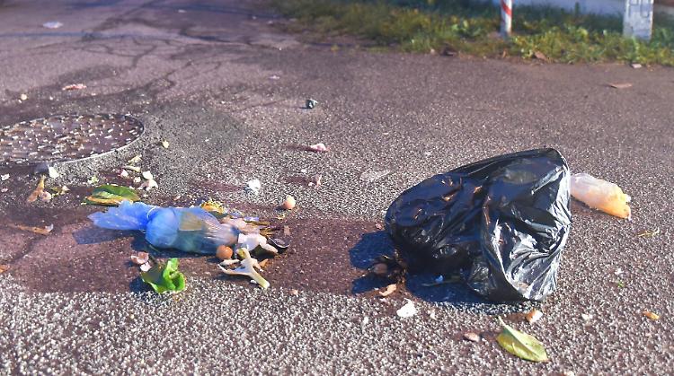 'Taglia su chi abbandona rifiuti'