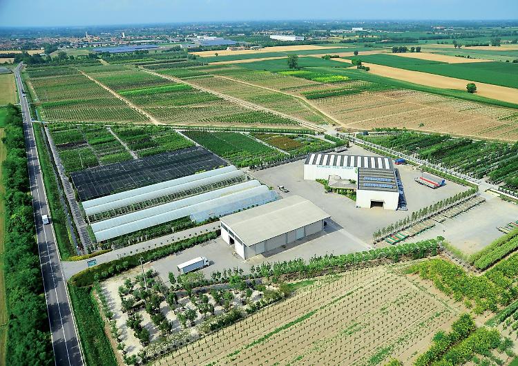 Banda del buco ai Vivai Giorgio Tesi