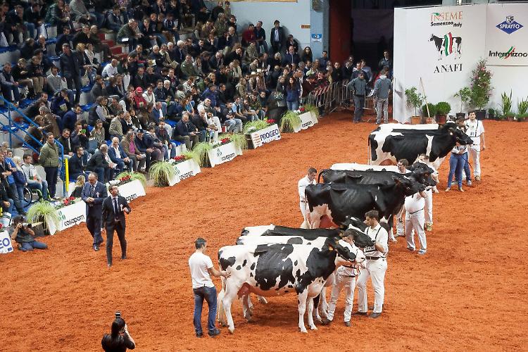 Le aziende assumono e l’agricoltura è trainante