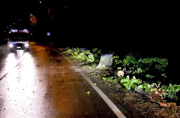 Rami in strada, intervengono i vigili del fuoco volontari