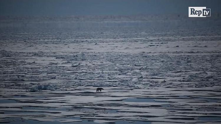 I ghiacci dell'Artico ridotti del 38%: il monitoraggio dal satellite dal 1979 a oggi