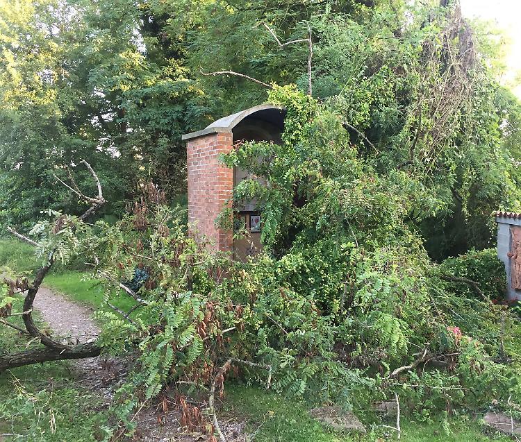 Pianta sulla madonnina, cedimento alle Fontane Sante