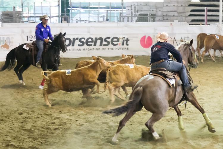 Cremona capitale del West con il Salone del Cavallo Americano