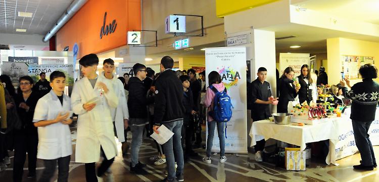 Link 2018 al via, in 1.111 per scegliere la scuola superiore