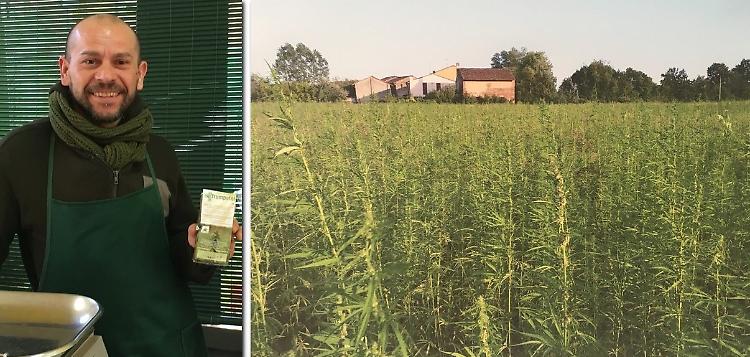 Villanova, cannabis light: 'La sentenza? Fumo negli occhi'