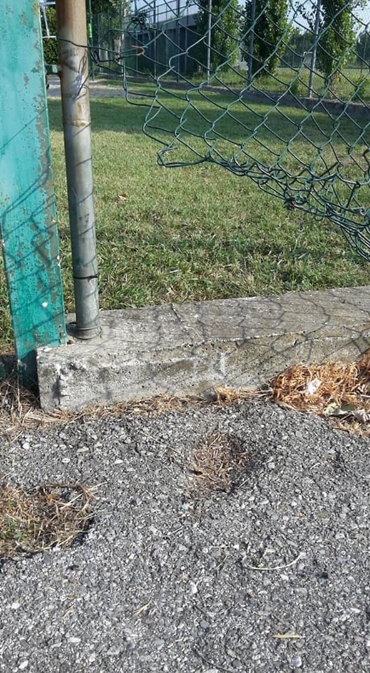 Nuoto notturno nella piscina comunale,  sindaco allarmato