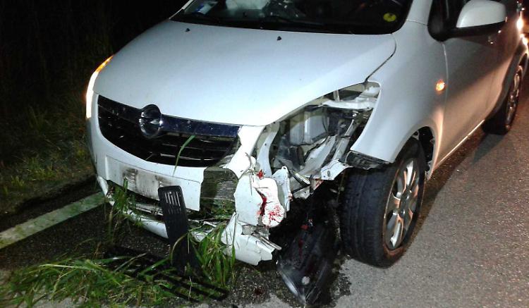 Centra cinghiale, auto ko