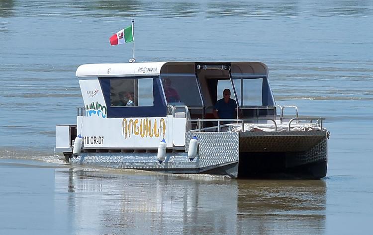 Dall'Emilia per il mercato con l'Anguilla del Po